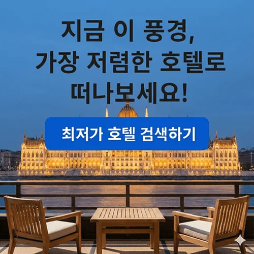바이브여행
