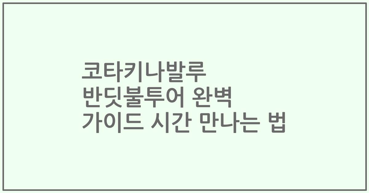 코타키나발루 반딧불투어 완벽 가이드 시간 만나는 법
